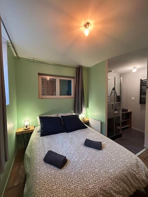 Le Cosy Balat Biel Rdc Jardin Spacieux Grisolles  Kültér fotó