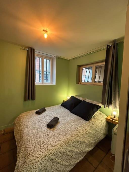 Le Cosy Balat Biel Rdc Jardin Spacieux Grisolles  Kültér fotó